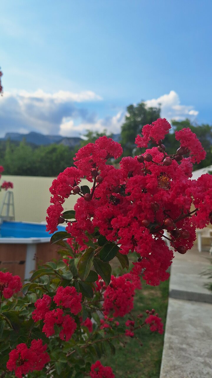 Гостиница Арзы Симеиз