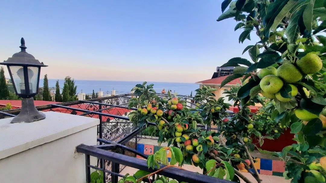 Гостиница Арзы Симеиз-12