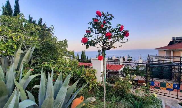 Гостиница Арзы Симеиз-20