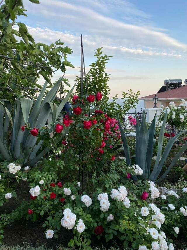 Гостиница Арзы Симеиз-46