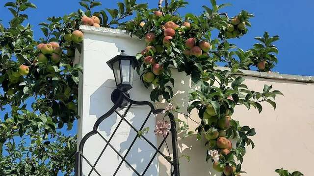 Гостиница Арзы Симеиз-13